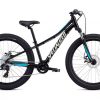 bike24spzriprockpto